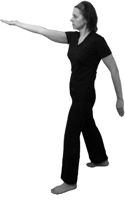 Иллюстрация к книге — Здоровье позвоночника. Системы Попова, Бубновского и другие методики излечения [i_110.jpg]