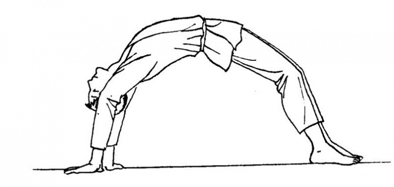 Иллюстрация к книге — Здоровье позвоночника. Системы Попова, Бубновского и другие методики излечения [i_171.jpg]