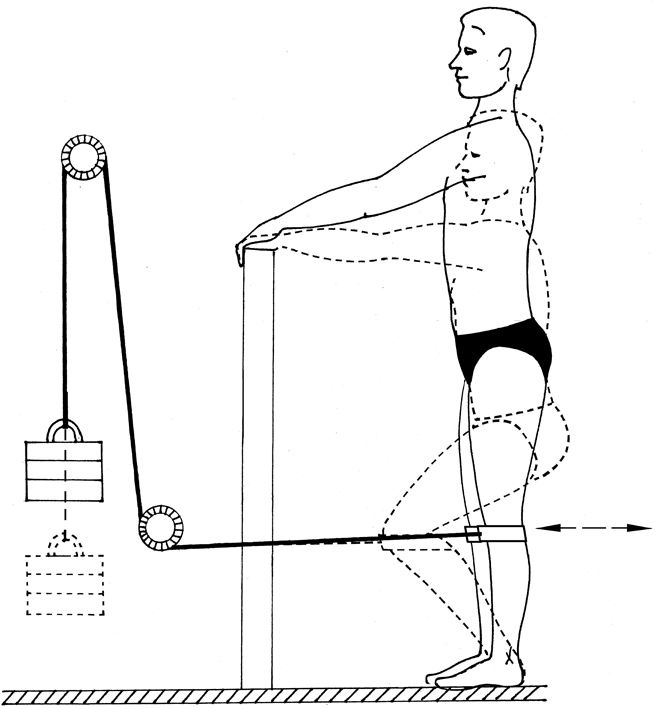 Иллюстрация к книге — Здоровье позвоночника. Системы Попова, Бубновского и другие методики излечения [i_179.jpg]