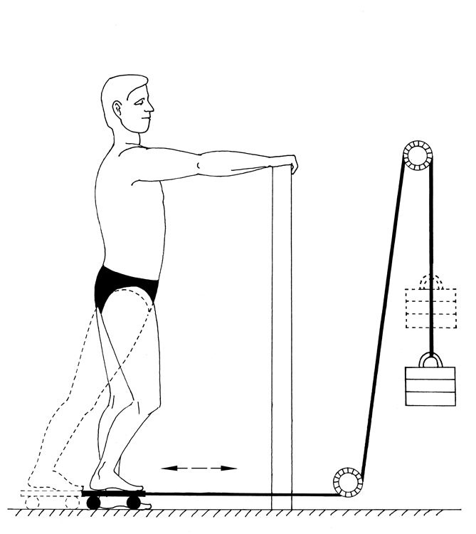 Иллюстрация к книге — Здоровье позвоночника. Системы Попова, Бубновского и другие методики излечения [i_182.jpg]