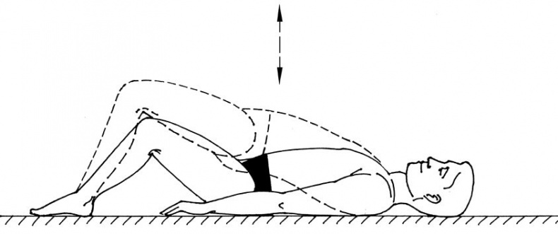 Иллюстрация к книге — Здоровье позвоночника. Системы Попова, Бубновского и другие методики излечения [i_205.jpg]