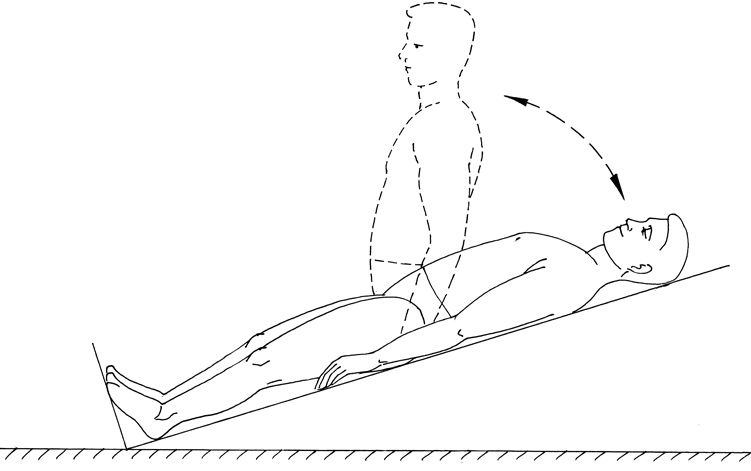 Иллюстрация к книге — Здоровье позвоночника. Системы Попова, Бубновского и другие методики излечения [i_206.jpg]