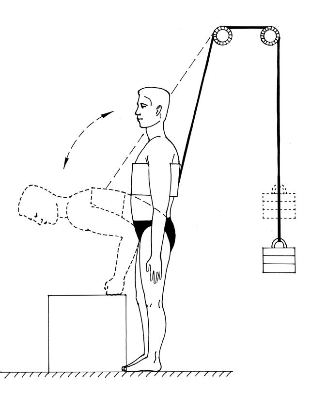 Иллюстрация к книге — Здоровье позвоночника. Системы Попова, Бубновского и другие методики излечения [i_207.jpg]