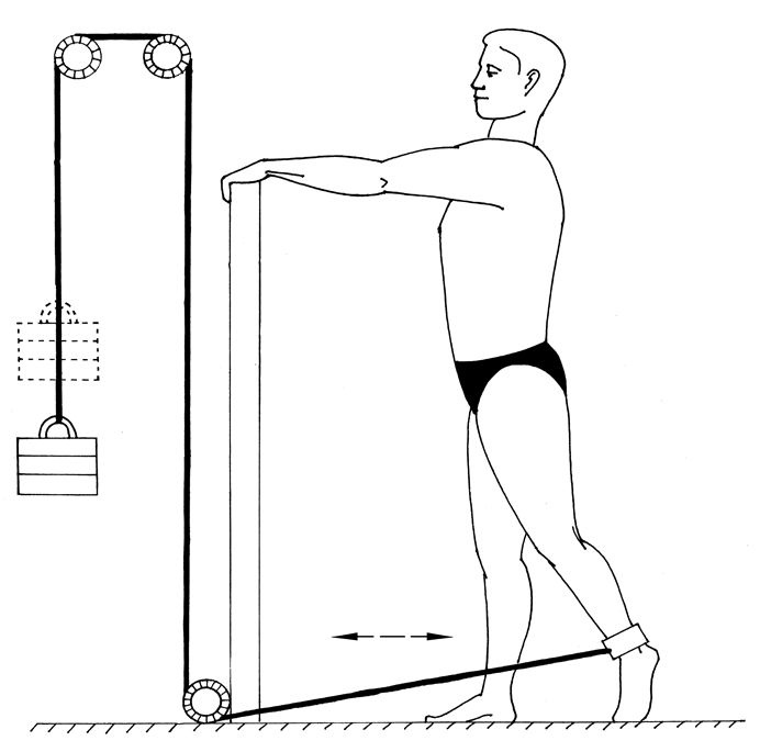 Иллюстрация к книге — Здоровье позвоночника. Системы Попова, Бубновского и другие методики излечения [i_213.jpg]