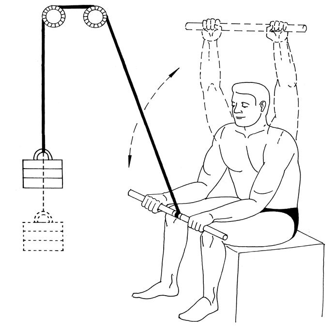 Иллюстрация к книге — Здоровье позвоночника. Системы Попова, Бубновского и другие методики излечения [i_215.jpg]