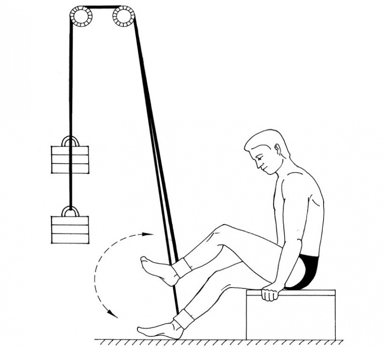 Иллюстрация к книге — Здоровье позвоночника. Системы Попова, Бубновского и другие методики излечения [i_224.jpg]