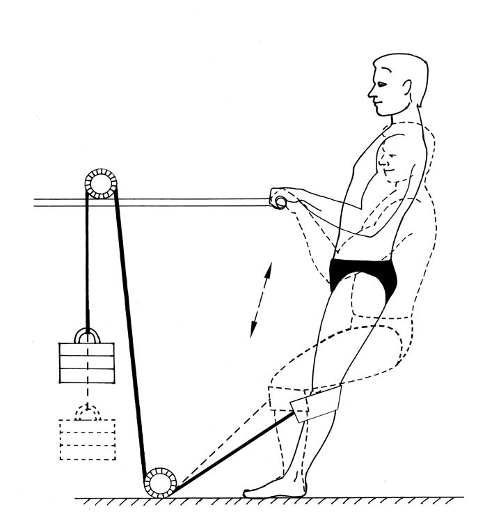 Иллюстрация к книге — Здоровье позвоночника. Системы Попова, Бубновского и другие методики излечения [i_236.jpg]