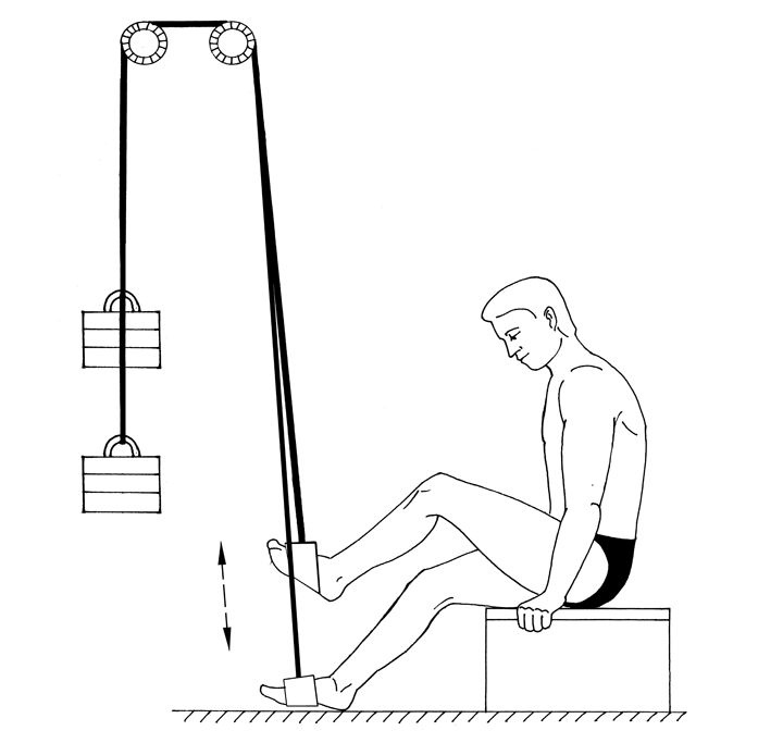 Иллюстрация к книге — Здоровье позвоночника. Системы Попова, Бубновского и другие методики излечения [i_239.jpg]