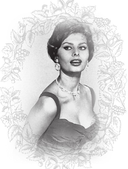 Иллюстрация к книге — Софи Лорен [i_063.jpg]