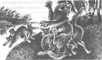 Иллюстрация к книге — Обещание Метеора. Книга 2. Прозрение [pic_12.jpg]