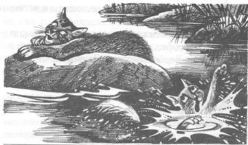 Иллюстрация к книге — Обещание Метеора. Книга 2. Прозрение [pic_18.jpg]