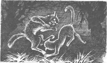 Иллюстрация к книге — Обещание Метеора. Книга 2. Прозрение [pic_20.jpg]