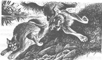 Иллюстрация к книге — Обещание Метеора. Книга 2. Прозрение [pic_24.jpg]