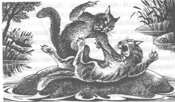 Иллюстрация к книге — Обещание Метеора. Книга 2. Прозрение [pic_26.jpg]