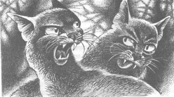 Иллюстрация к книге — Обещание Метеора. Книга 2. Прозрение [pic_30.jpg]