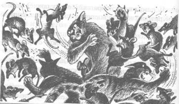 Иллюстрация к книге — Обещание Метеора. Книга 2. Прозрение [pic_36.jpg]