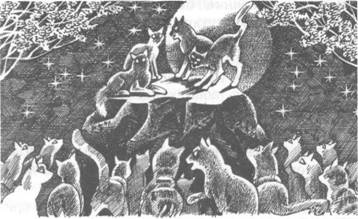 Иллюстрация к книге — Обещание Метеора. Книга 2. Прозрение [pic_6.jpg]