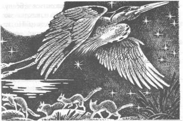 Иллюстрация к книге — Обещание Метеора. Книга 2. Прозрение [pic_8.jpg]