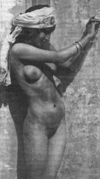 Иллюстрация к книге — Тайные сады Могадора [i_001.jpg]