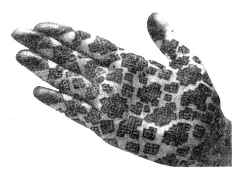 Иллюстрация к книге — Тайные сады Могадора [i_002.jpg]