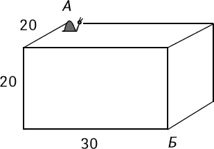 Иллюстрация к книге — Супертренажер мозга для развития сверхспособностей. Активизируй &quot;зоны гениальности&quot; [_34.jpg]