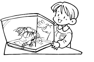 Иллюстрация к книге — Хиромантия и нумерология. Секретные знания. Практическое руководство [i_270.jpg]