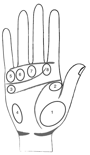 Иллюстрация к книге — Хиромантия и нумерология. Секретные знания. Практическое руководство [i_355.jpg]