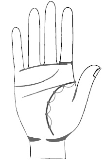 Иллюстрация к книге — Хиромантия и нумерология. Секретные знания. Практическое руководство [i_364.jpg]