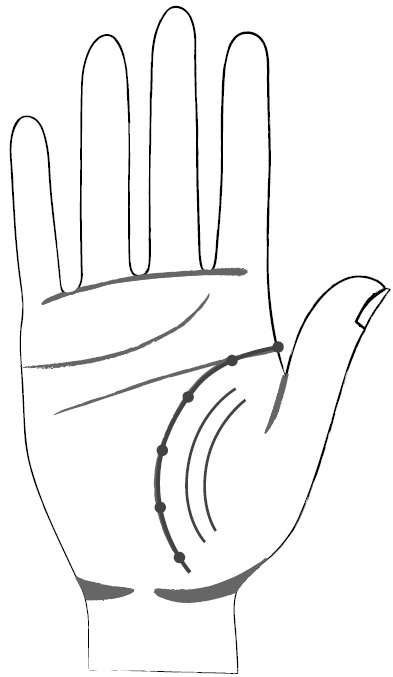 Иллюстрация к книге — Хиромантия и нумерология. Секретные знания. Практическое руководство [i_370.jpg]