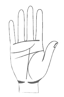 Иллюстрация к книге — Хиромантия и нумерология. Секретные знания. Практическое руководство [i_376.jpg]