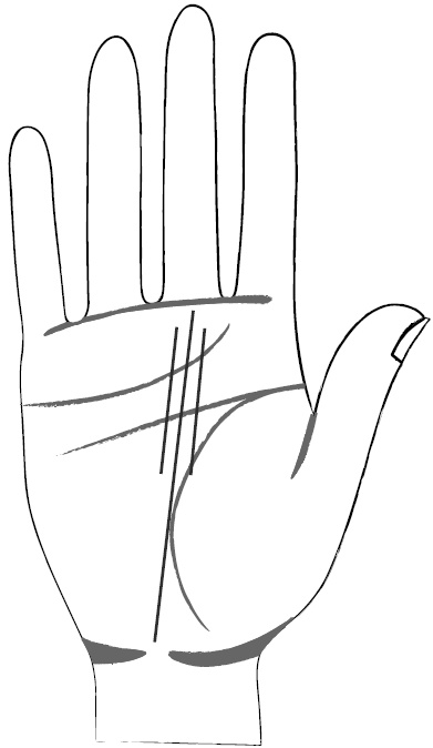 Иллюстрация к книге — Хиромантия и нумерология. Секретные знания. Практическое руководство [i_377.jpg]