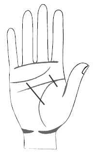 Иллюстрация к книге — Хиромантия и нумерология. Секретные знания. Практическое руководство [i_378.jpg]