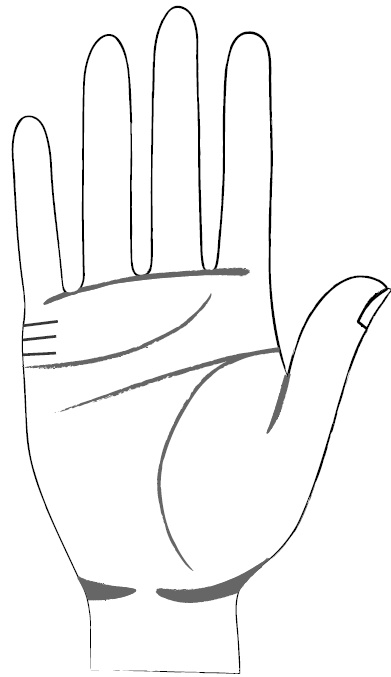 Иллюстрация к книге — Хиромантия и нумерология. Секретные знания. Практическое руководство [i_383.jpg]