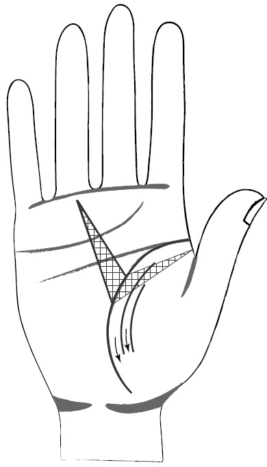 Иллюстрация к книге — Хиромантия и нумерология. Секретные знания. Практическое руководство [i_391.jpg]