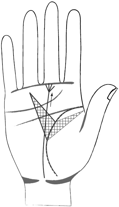 Иллюстрация к книге — Хиромантия и нумерология. Секретные знания. Практическое руководство [i_394.jpg]