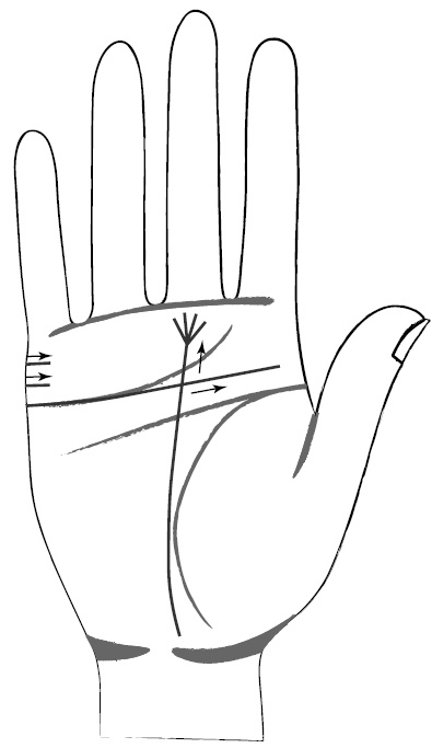 Иллюстрация к книге — Хиромантия и нумерология. Секретные знания. Практическое руководство [i_398.jpg]