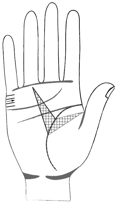 Иллюстрация к книге — Хиромантия и нумерология. Секретные знания. Практическое руководство [i_399.jpg]