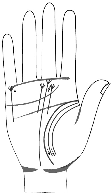 Иллюстрация к книге — Хиромантия и нумерология. Секретные знания. Практическое руководство [i_407.jpg]