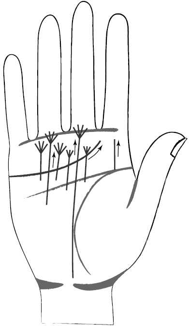 Иллюстрация к книге — Хиромантия и нумерология. Секретные знания. Практическое руководство [i_409.jpg]