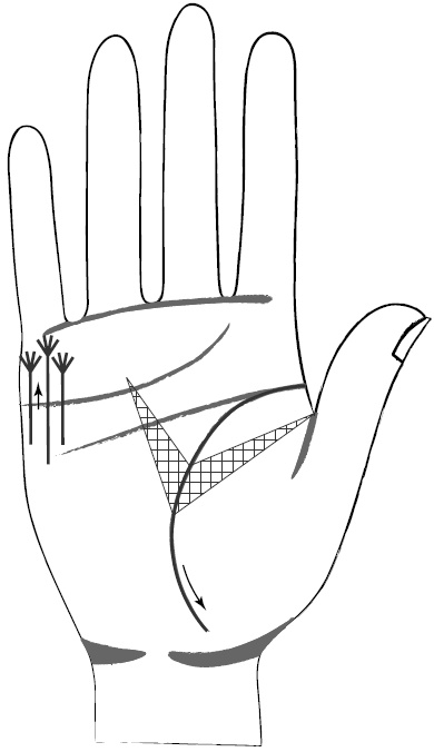 Иллюстрация к книге — Хиромантия и нумерология. Секретные знания. Практическое руководство [i_410.jpg]