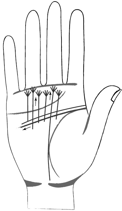 Иллюстрация к книге — Хиромантия и нумерология. Секретные знания. Практическое руководство [i_411.jpg]