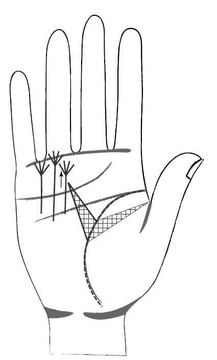 Иллюстрация к книге — Хиромантия и нумерология. Секретные знания. Практическое руководство [i_417.jpg]