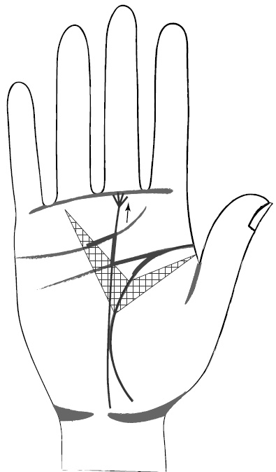 Иллюстрация к книге — Хиромантия и нумерология. Секретные знания. Практическое руководство [i_421.jpg]