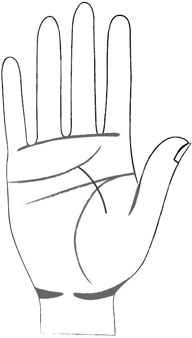 Иллюстрация к книге — Хиромантия и нумерология. Секретные знания. Практическое руководство [i_425.jpg]