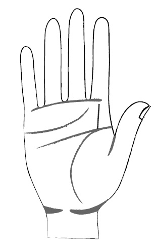 Иллюстрация к книге — Хиромантия и нумерология. Секретные знания. Практическое руководство [i_428.jpg]