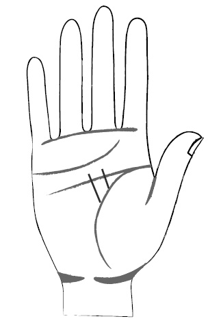 Иллюстрация к книге — Хиромантия и нумерология. Секретные знания. Практическое руководство [i_430.jpg]