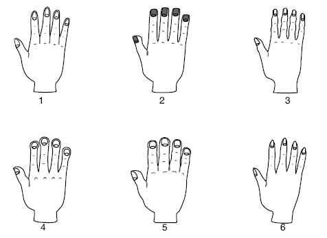 Иллюстрация к книге — Хиромантия и нумерология. Секретные знания. Практическое руководство [i_432.jpg]