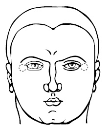 Иллюстрация к книге — Хиромантия и нумерология. Секретные знания. Практическое руководство [i_479.jpg]