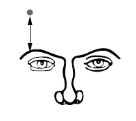 Иллюстрация к книге — Хиромантия и нумерология. Секретные знания. Практическое руководство [i_492.jpg]