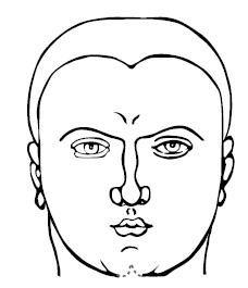 Иллюстрация к книге — Хиромантия и нумерология. Секретные знания. Практическое руководство [i_500.jpg]